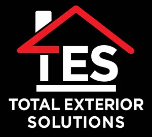 tes-logo-footer